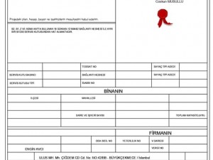 Doğalgaz Projesi Nedir